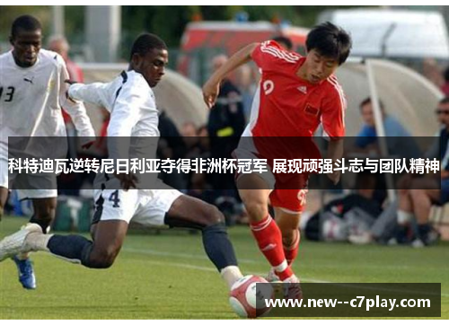 科特迪瓦逆转尼日利亚夺得非洲杯冠军 展现顽强斗志与团队精神